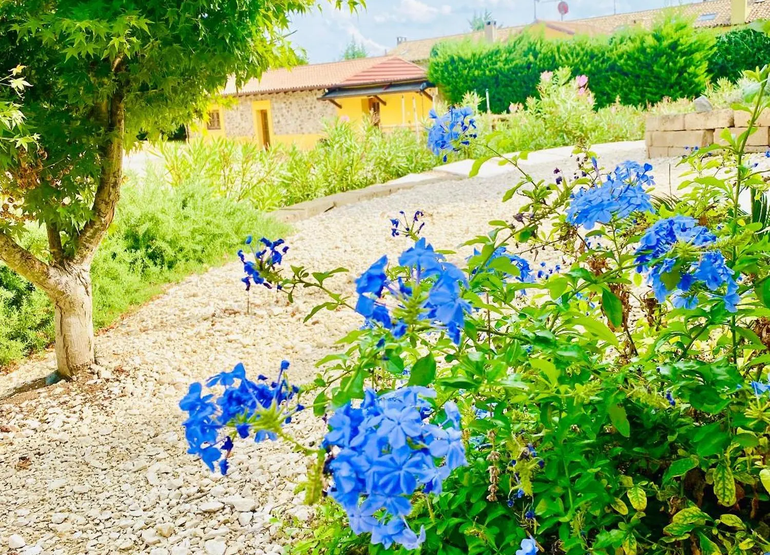 Il Crivellin Apartment Affi Italy